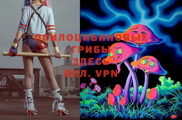 соль курить ск Белокуриха