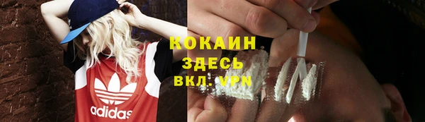 соль курить ск Белокуриха