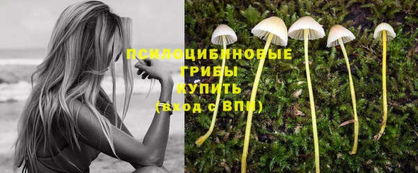 стафф Беломорск