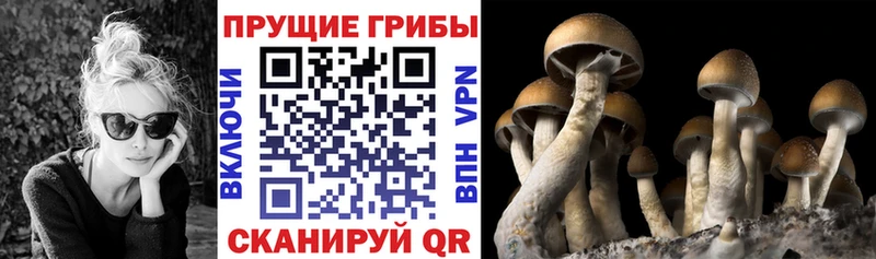 Галлюциногенные грибы мицелий  Гвардейск 