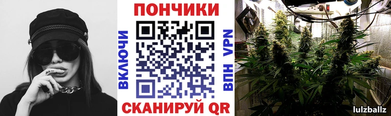 Бошки Шишки индика Гвардейск