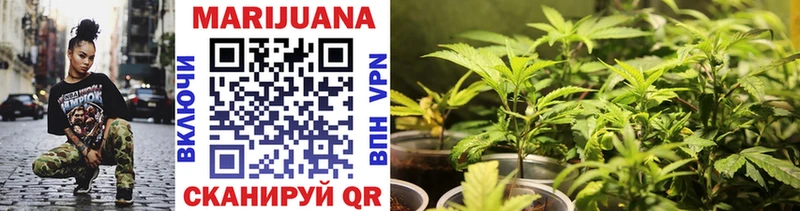 Шишки марихуана Ganja  Гвардейск 